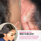 काले महिलाओं के लिए 250% घनत्व 13x6 एचडी फीता फ्रंटल विग हड्डी सीधे मानव बाल